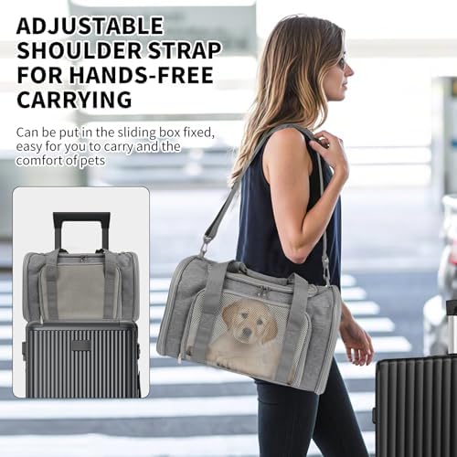 Carriers Soft-Sided Large Pet Carrier - Image 6