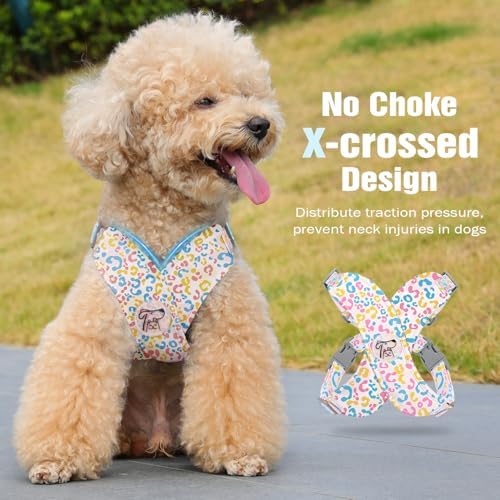 Pawaboo Small Dog Harness and Leash Set, Puppy Harness X-Frame Adjustable - Image 3