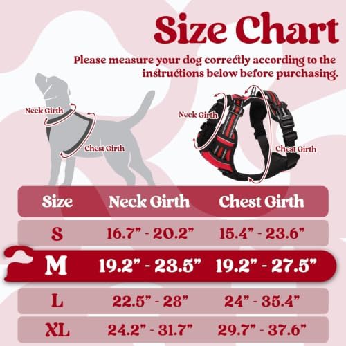 rabbitgoo Dog Harness Medium Sized, Updated Easy On & Off - Image 2