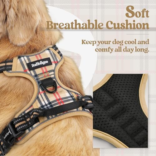 rabbitgoo Dog Harness, No Pull Medium Sized - Image 2