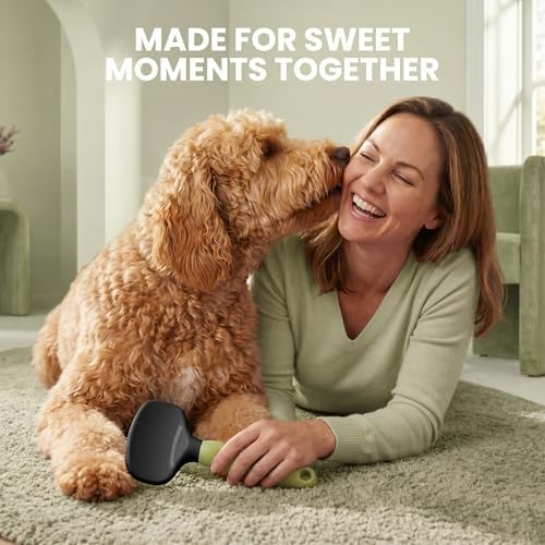 Poodle Pet Slicker Brush - Image 6
