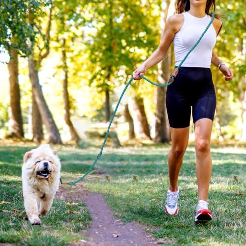 Mile High Life Hands Free Dog Leash, Crossbody Waist Leash - Image 2