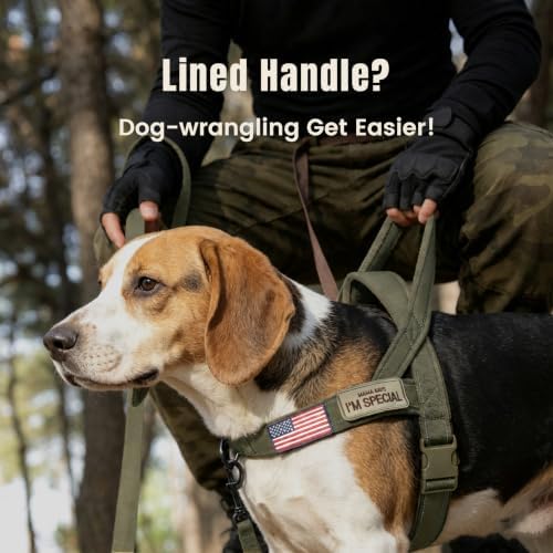 Forestpaw No Pull Dog Harness - Image 2