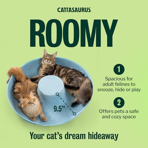 Cattasaurus Peekaboo Cat Cave Donut - Image 4