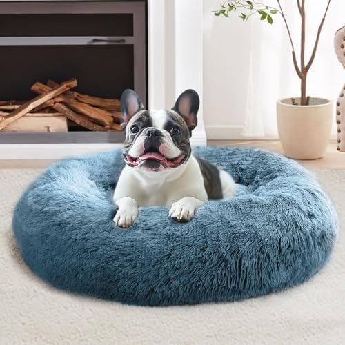 JOLLYVOGUE Calming Dog Bed Medium Size Dog, 31in Donut Washable Medium Pet Bed by JOLLYVOGUE