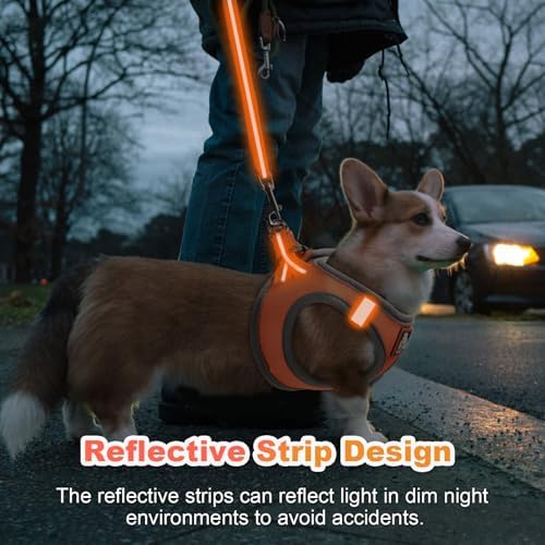 Dog Harness Medium Sized Dogs, Puppy Harness and Leash Set - Image 3