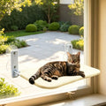 Cat Window Perch, Cordless Foldable Cat Window Hammock, Sturdy Metal Frame by Unknown
