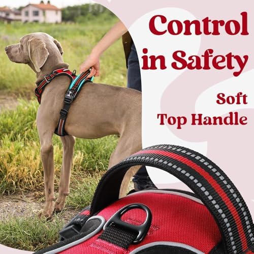 rabbitgoo Dog Harness Medium Sized, Updated Easy On & Off - Image 5