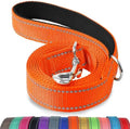 Joytale Reflective Dog Leash for Small Dogs, 5 FT x 3/4" by Joytale
