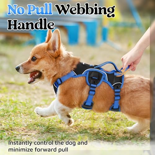 rabbitgoo Escape Proof Dog Harness - Image 2