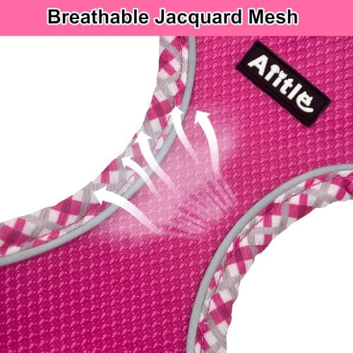 AIITLE XXS Dog Harness & Leash Set - Image 4