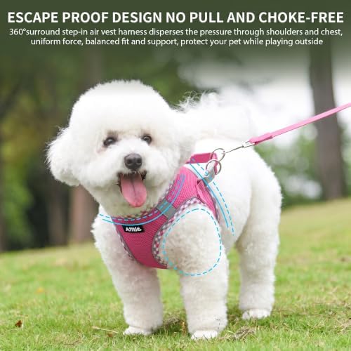 AIITLE XXS Dog Harness & Leash Set - Image 2
