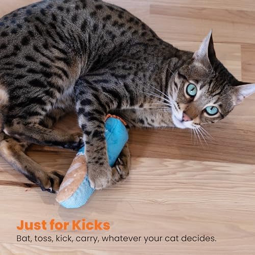 Catstages Loaf Kicker Interactive Cat Toy - Image 6
