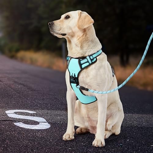 IVY&LANE No Pull Dog Harness for Medium Dogs, Reflective Dog Vest Harness - Image 7