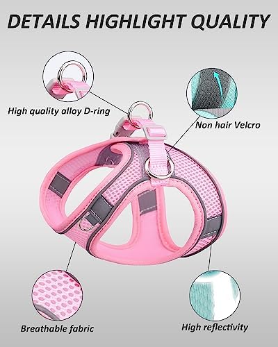 SOLMOONY Dog Harness for Small Medium Dogs No Pull, Puppy and Leash Set - Image 5