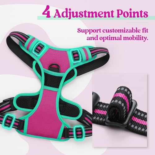 rabbitgoo Dog Harness, No Pull for Large Dogs - Image 4
