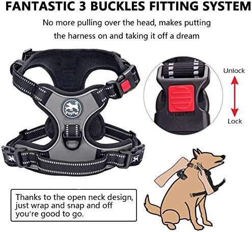 PoyPet No Pull Dog Harness Small - Image 2