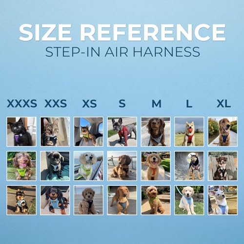 Best Pet Supplies Voyager Step-in Air All Weather Mesh Harness and Reflective - Image 5