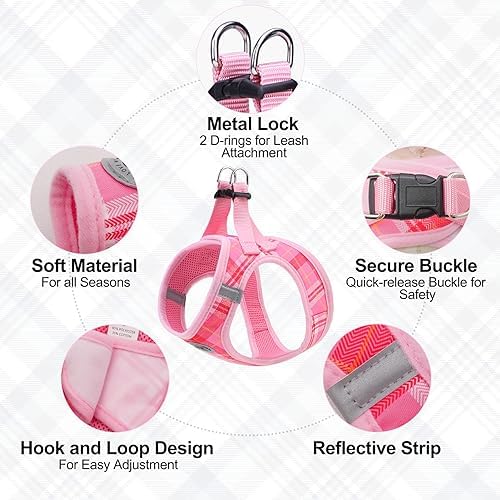 BEAUTYZOO Small Dog Harness and Leash Set, Step in No Choke No Pull Soft Mesh - Image 3