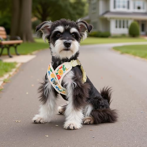 Patas Lague Dog Harness Small Sized Dog Pet Vest Leash Set Floral Yellow S - Image 2