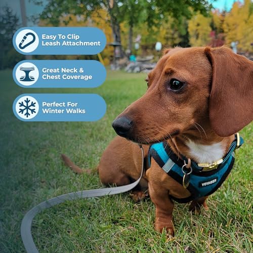 Voyager Step-in Plush Dog Vest Harness -Turquoise Plush - Image 5