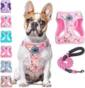 BEAUTYZOO Dog Harness Medium Sized and Leash Set, No Pull Pet Vest -Floral by BEAUTYZOO