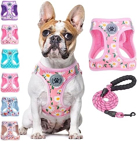 BEAUTYZOO Dog Harness Medium Sized and Leash Set, No Pull Pet Vest -Floral by BEAUTYZOO