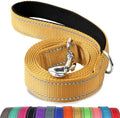Joytale Reflective Dog Leash for Medium & Large Dogs, 6 FT x 1" by Joytale