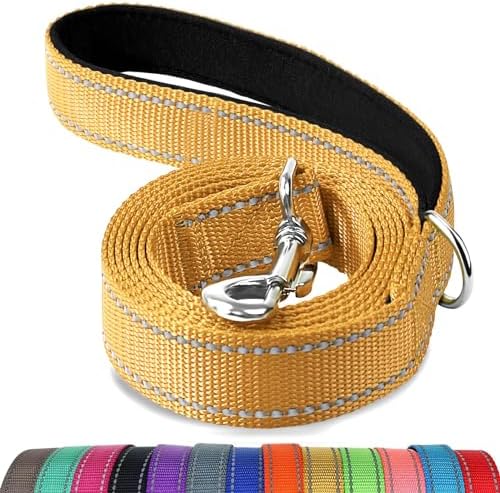 Joytale Reflective Dog Leash for Medium & Large Dogs, 5 FT x 1" by Joytale
