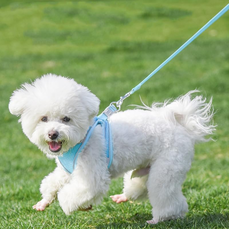 AIITLE Dog Harness and Leash Set, Step-in Puppy Pet Vest, Pure Blue M - Image 4