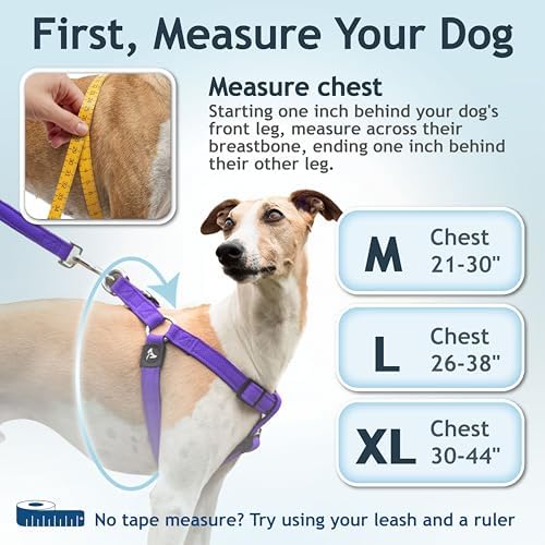 Kruz No Pull Dog Harness Heavy-Duty Pet Harness - Image 2