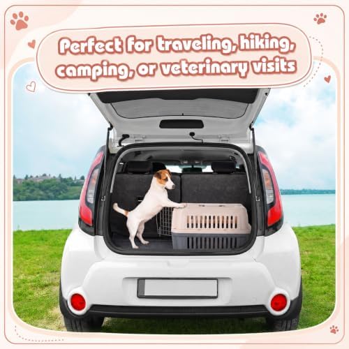 2 Set Small Cat Dog Travel Pet Carrier - Image 4