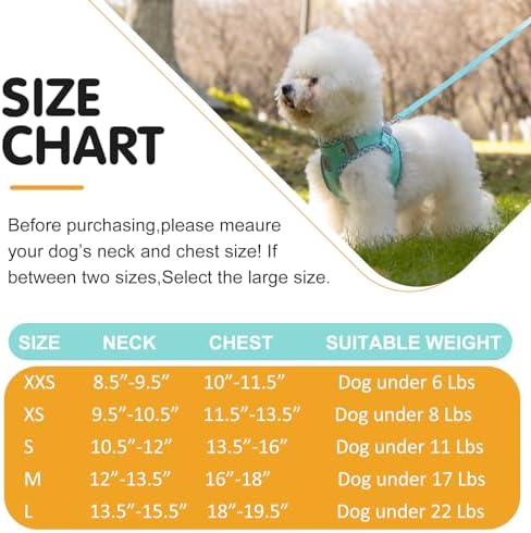 Dog Harness and Leash Set, No Pull Pet Harness - Image 6