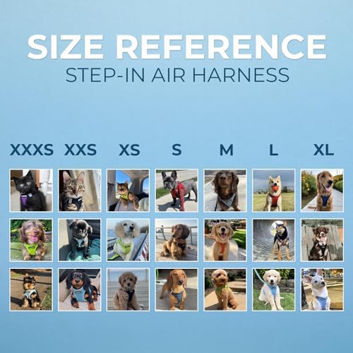 Voyager Step-in Air Dog Vest Harness - Image 5