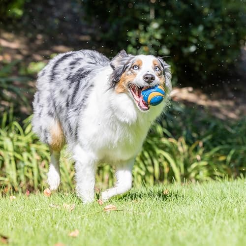 Chuckit! Ultra Ball Dog Fetch Toy, Medium 2.5in, 4 Pack - Image 3