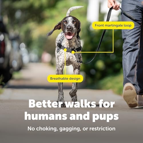 PetSafe Easy Walk Harness, No Pull Dog Harness, Medium/Large - Image 4
