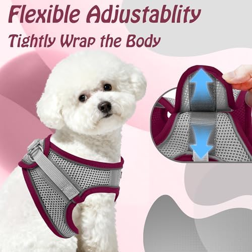 AIITLE Dog Harness and Leash Set, Step-in Puppy Pet Vest, Burgundy XXXS - Image 6