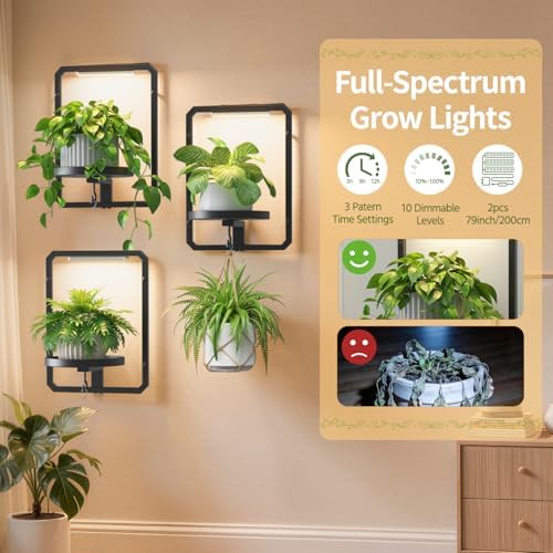 LASZOLA Plant Picture Frame Holder Shelf Wall - Image 3