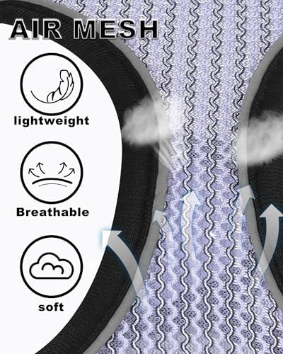 Dog Harness Small Sized and Leash Set, Step in Soft Light Puppy Vest, - Image 5