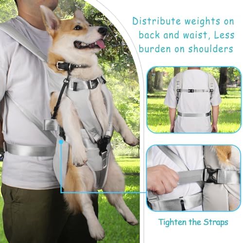 PetBonus Dog Front Carrier Backpacks, Legs Out Easy-fit Puppy Chest Carrier - Image 3
