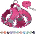 AIITLE Dog Harness and Leash Set by AIITLE-FORPETSBETTERLIFE