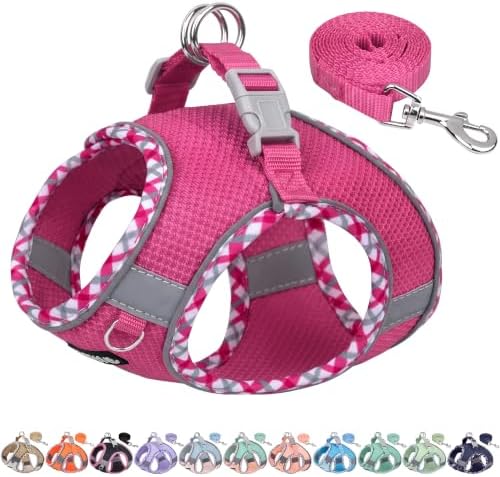 AIITLE Escape-Proof Dog Harnesss and Leash Set by AIITLE-FORPETSBETTERLIFE
