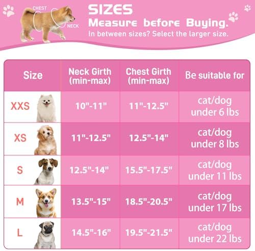 Soft Mesh Dog Harness and Leash Set, No Pull Puppy Harness and Leash Set - Image 4