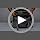 Cat Carrier Bag, Airline Approved Soft Carrier - Image 7