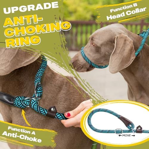 Fida Durable Slip Lead Dog Leash, 6 FT x 3/8" Dog Training Leash - Image 3