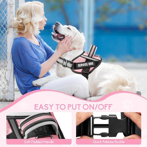 Service Dog Vest Harness and Leash Set, Animire in Training Dog Harness - Image 2