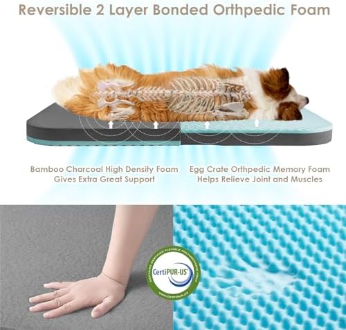 EHEYCIGA Foldable XXL Dog Bed for Large Sized Dog - Image 3