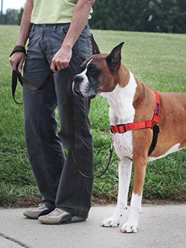 PetSafe Deluxe Easy Walk Harness, Medium/Large, Rose Red - Image 2