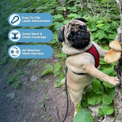 Best Pet Supplies Voyager Step-in Air Harness - Image 2