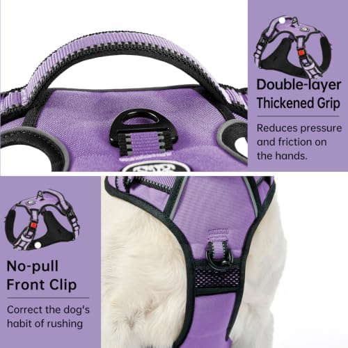 IVY&LANE No Pull Dog Harness for Small Dogs, Reflective Dog Vest Harness - Image 5